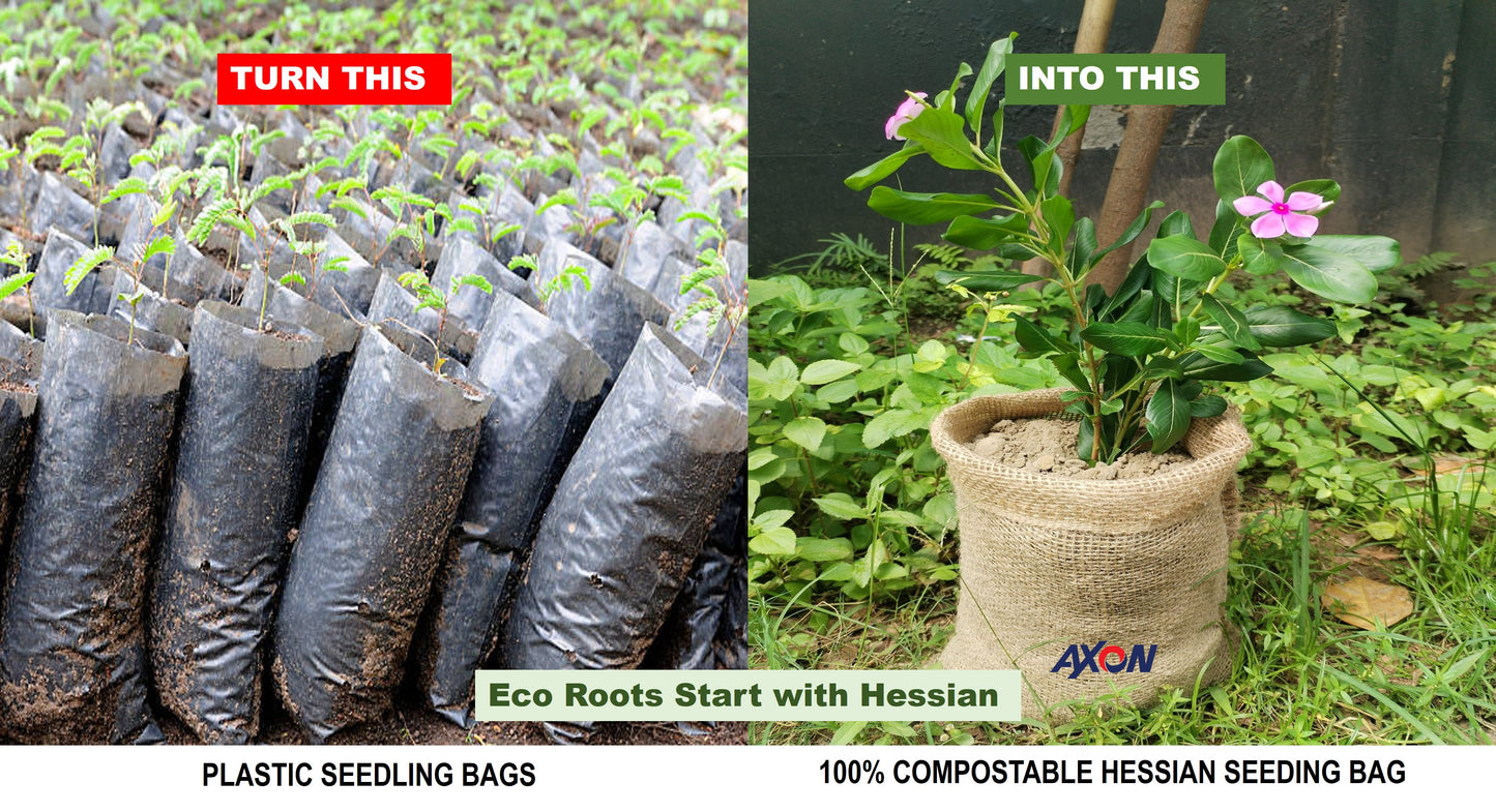 Seedling Bags 100% Biodegradable & Compostable