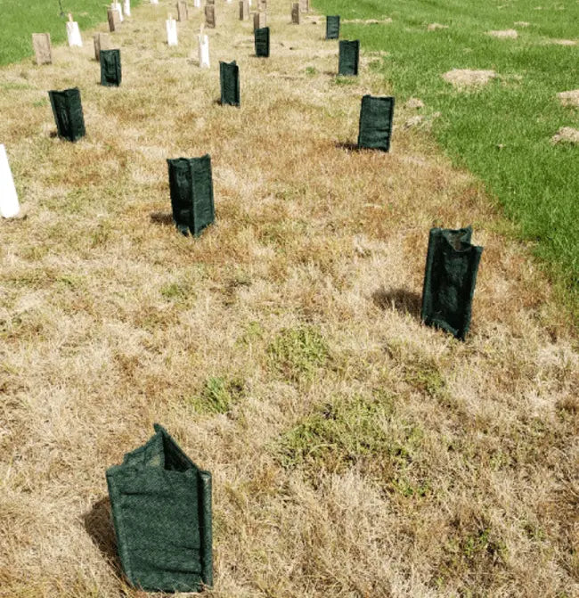 Biodegradable Tree Guard Hessian Sleeves (Green)