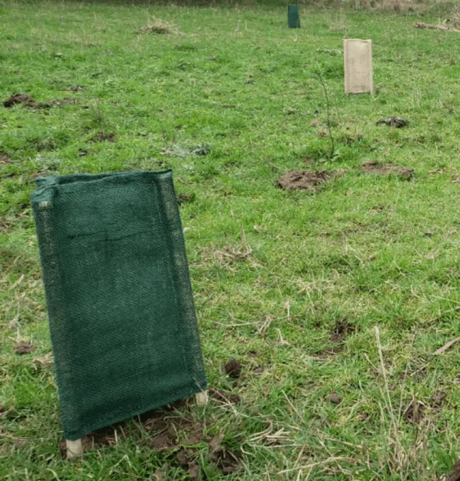 Biodegradable Tree Guard Hessian Sleeves (Green)