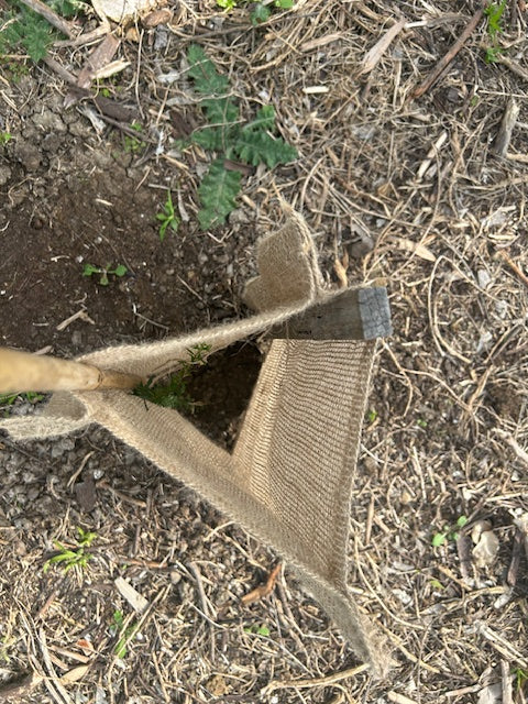 Biodegradable Tree Guard Hessian Sleeves -Natural