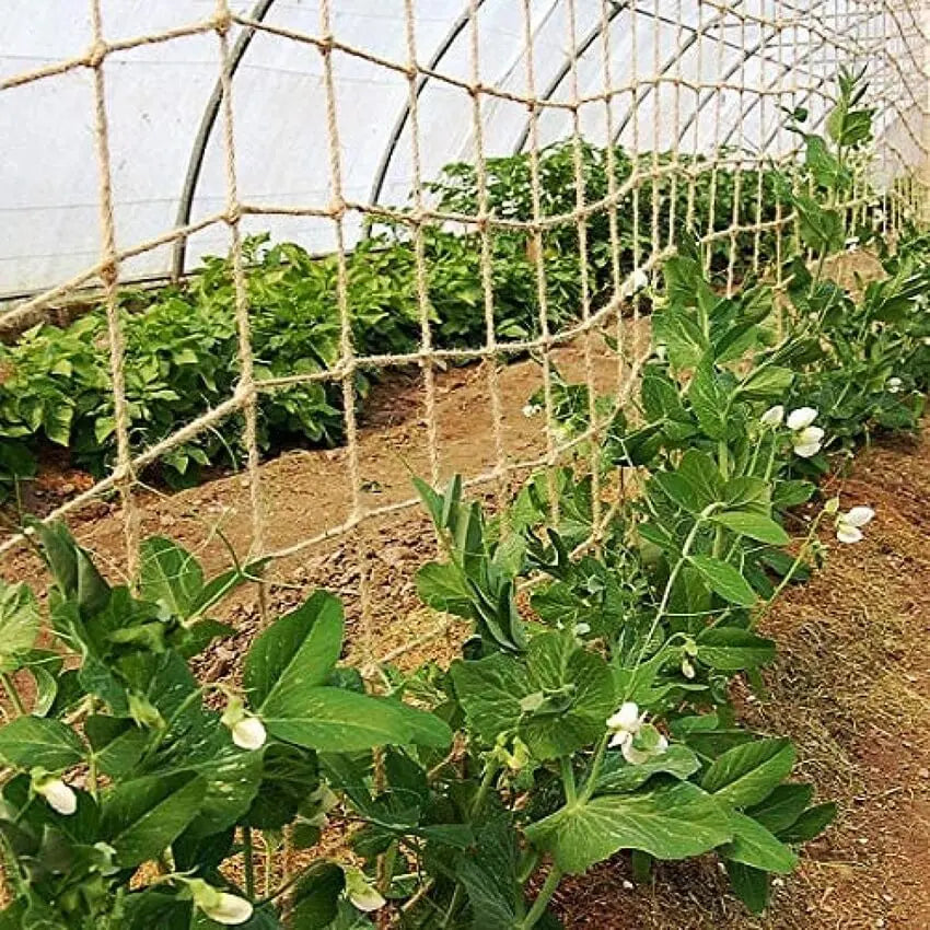Jute Netting for Climbing Plants
