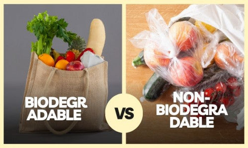Biodegradable Vs Non-biodegradable