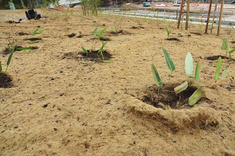 Why Jute Matting Is the Sustainable Alternative to Plastic Weed Mat?