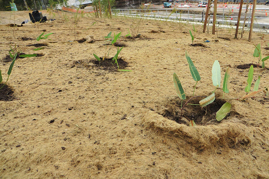 Why Jute Matting Is the Sustainable Alternative to Plastic Weed Mat?