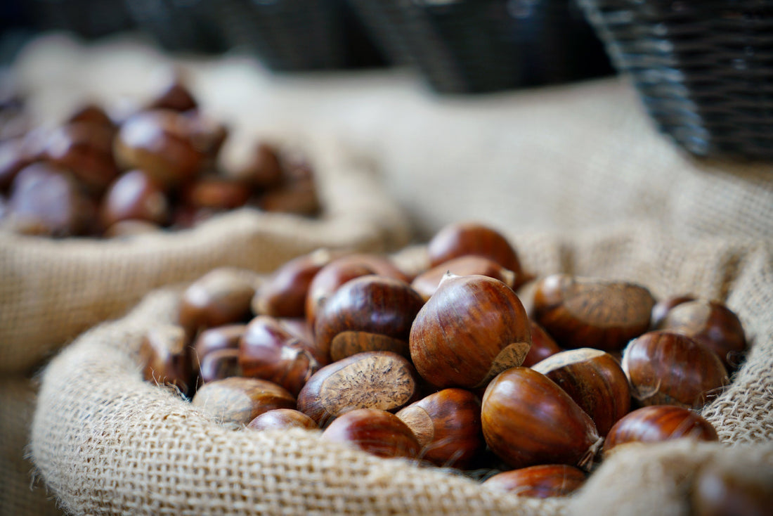 Why are jute products the optimal substitute for plastic packaging items?