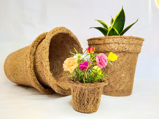 Earth-Friendly Coir Seedling Plant Nursery Pots - Biodegradable