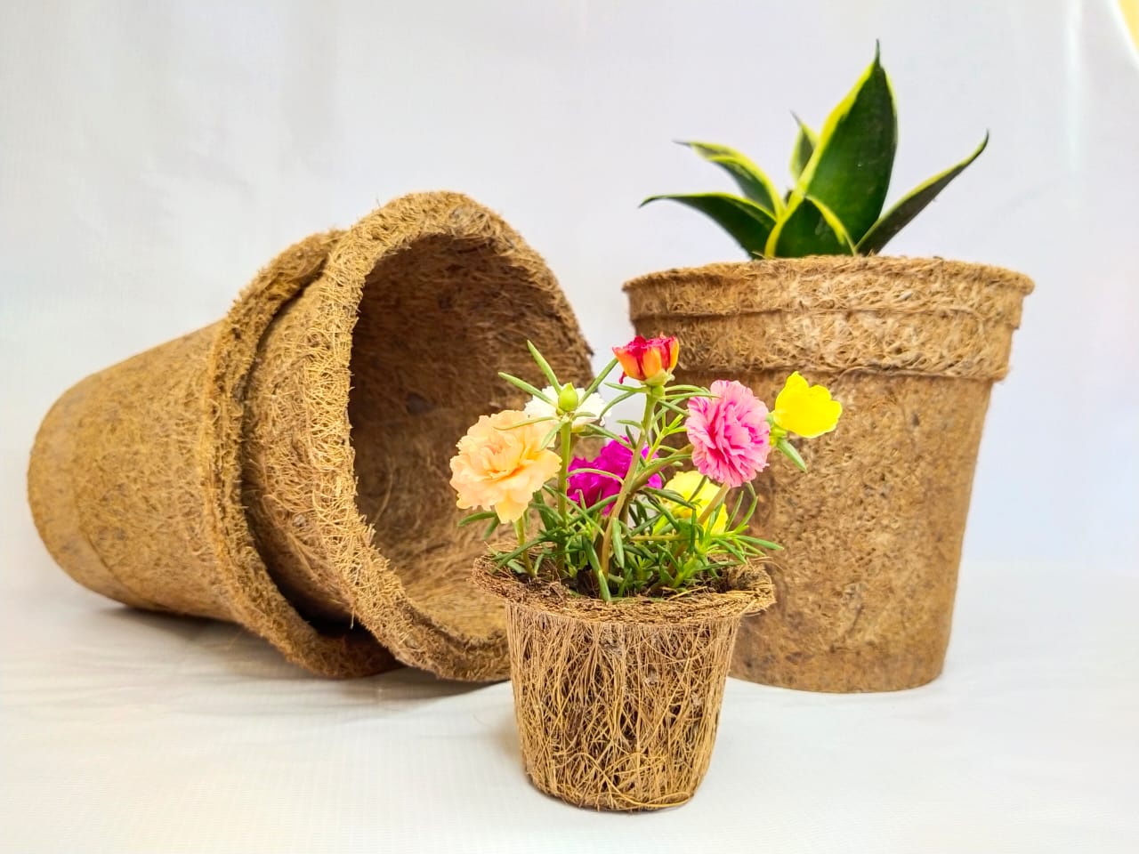 Earth-Friendly Coir Seedling Plant Nursery Pots - Biodegradable