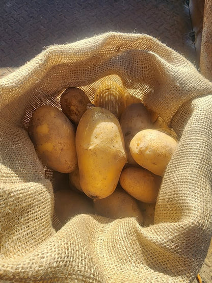 Hessian Produce/Potato Sacks 75cm x 45cm, 305gsm (20-25Kg Capacity) Size Medium