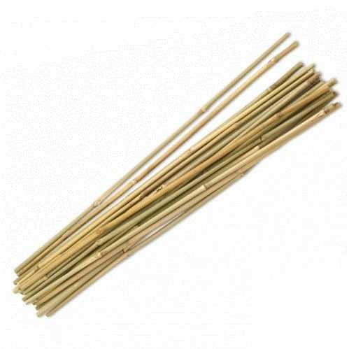 Bamboo Stakes - 600mm x 8/10mm - Qty 500