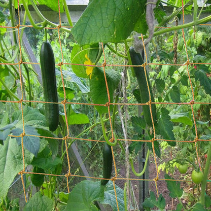 Jute Netting for Climbing Plants