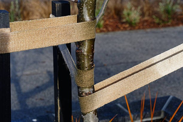 Heavy Duty Jute Webbing for Plant & Tree Ties & Support - 33m L x 50mm W