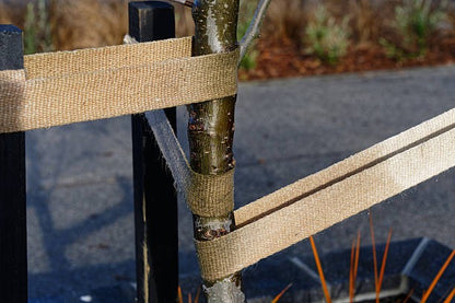 Heavy Duty Jute Webbing for Plant & Tree Ties & Support - 33m L x 50mm W