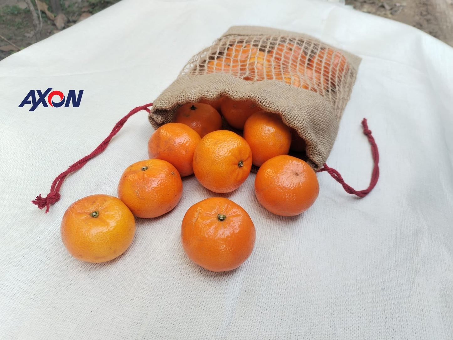 Reusable Biodegradable Eco-Friendly Jute Mesh Drawstring Fruit/Garlic/Nuts Bags