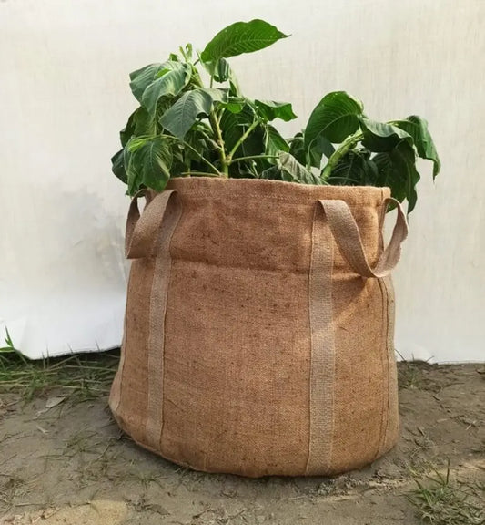 Axon Biodegradable Plant Grow Bag (400mm) - 100% Netural Woven