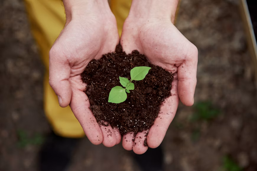 Supporting a Cleaner Planet, Naturally.