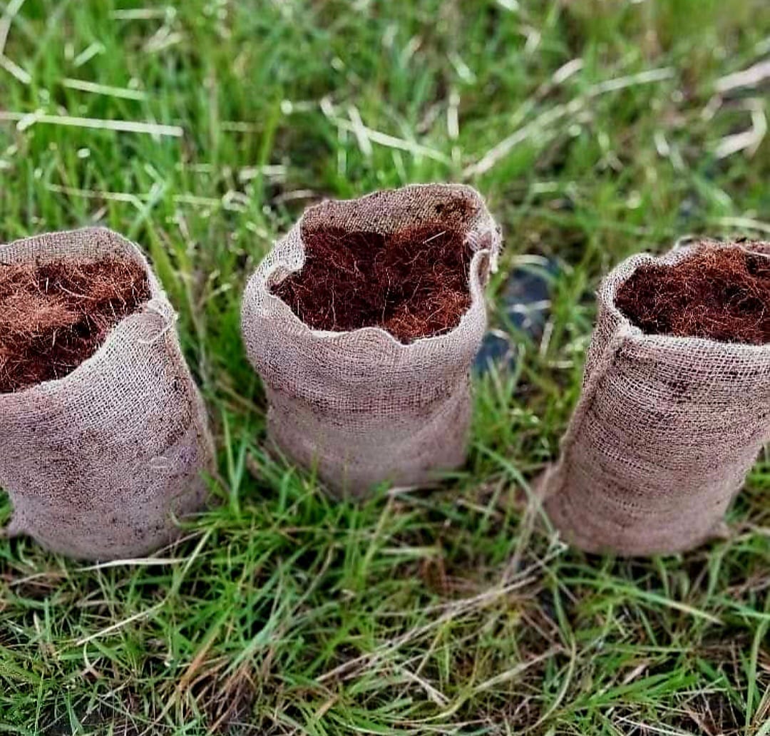 Axon  Biodegradable Seedling Bags - Pre-order