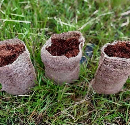 Axon  Biodegradable Seedling Bags - Pre-order