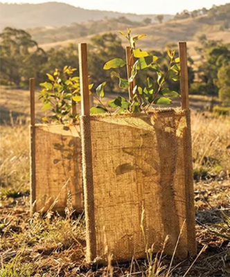 Biodegradable Tree Guards