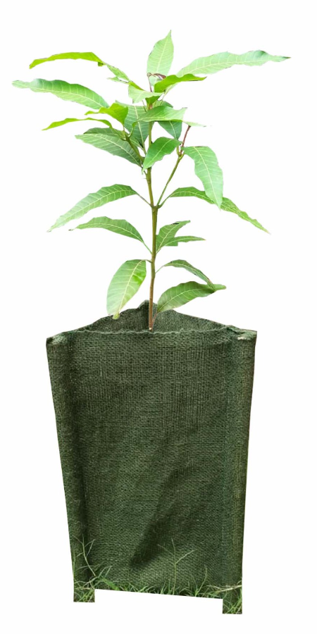 Biodegradable Tree Guard Hessian Sleeves (Green)