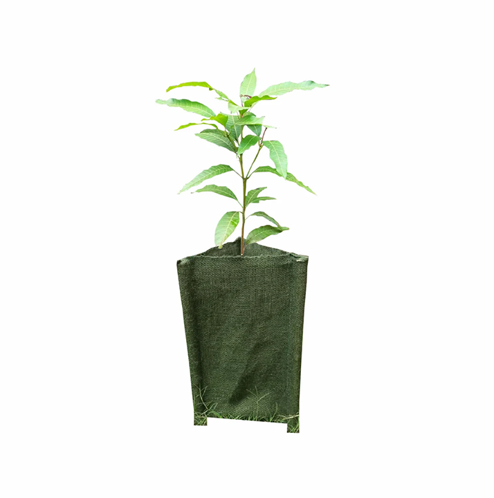 Biodegradable Tree Guard Hessian Sleeves (Green)
